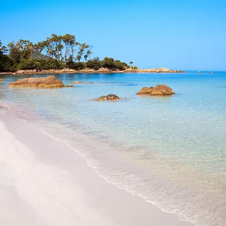 Grand Rue Piétonne *