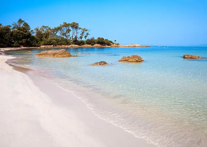 Grand Rue Piétonne *